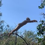Laurence Dumas - @laumapaule67 - Instagram