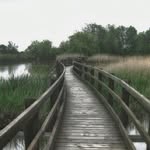 Lawrence Hiebert - @lawrencehiebert - Instagram