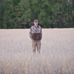 Larry Faircloth III - Facebook