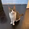 Lawrencefish - @chinawiththeworld - TikTok