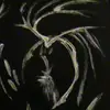 Lawrence Foreman - @lawrence.foreman8 - TikTok