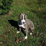 Lawrence Gooding - @lawrencegooding - Instagram