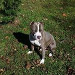 lawrence Gooding - @goodinglawrence - Instagram