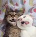 Lawrence De Guzman - Facebook