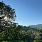 Lawrence Haas - @lawhaas - Instagram