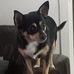 Lawrence Haddock - Facebook
