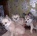 Lawrence Harrop - Facebook