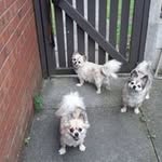 Lawrence Harrop - @harroplawrence - Instagram