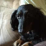 Lawrence Hensley - @lhensley1011 - Instagram