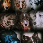 Lawrence Herr - @herrlawrence - Instagram