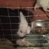 Lawrence Jones - @lawrence.jones673 - TikTok