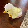 Lauren Kehoe - @leek222888 - TikTok