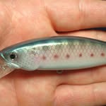 Gary Lawrence Knudson Jr. - @gjrlures - Instagram