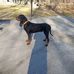 Larry Knutson - Facebook