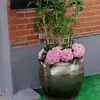 Laurence Andolfi - @laurence.andolfi - TikTok