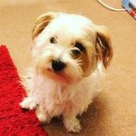 Lawrence_lane - @lawrence_lane1253 - Instagram