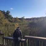 Lawrence Langley - @lawrence.langley.16 - Instagram