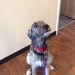 Lawrence Large - @lawrence.large.9 - Instagram