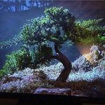 Nathan Lawrence Leach - @nathan.leach.9887 - Instagram