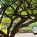 Lawrence Maina - Facebook