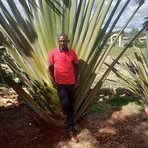 Laurence Mango - Facebook