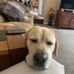 Lawrence Marchek - Facebook