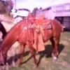 lawrence maughan - @lawrence.maughan - TikTok