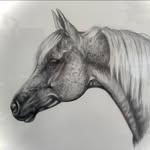 Lawrence Maynard - @lawrence.maynard.16 - Instagram