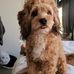 Maynard Lawrence - Facebook