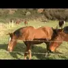 Laurence McGarry - @lmcg397 - TikTok