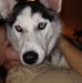 Lawrence Neely - Facebook