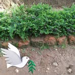 Lawrence Okello - Facebook