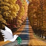 Lawrence Omany - Facebook