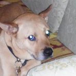 Larry Orenstein - Facebook