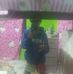 Lawrence Paz - Facebook