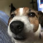 Gunner Lawrence-Enicks - @gunnertheman - Instagram