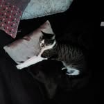 Laurence Perrin - @laurence.perrin.1069 - Instagram