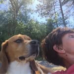 Laurence Perrin - @dacodac - Instagram