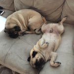 Kenneth Lawrence & Pierre - @kenny_and_pierre - Instagram