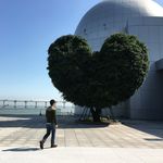 @lawrencepoon - Instagram