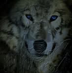 Lawrence Pugh - Facebook