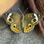 Lawrence Randall - @wallyinburly - Instagram
