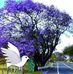 Randall Lawrence - Facebook