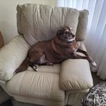 Lawrence Redman - @lawrenceredman - Instagram