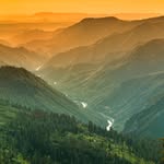Lawrence Roach - @lawrenceroachtvu26779 - Instagram