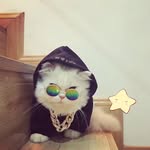 Lawrence Rock - @lawrence.rock.376 - Instagram