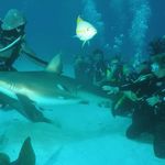 Lawrence Silverman - @silverman_lawrence - Instagram