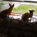 Lawrence Simpkins - Facebook