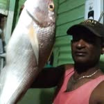 Lawrence Singh - @lawrencesingh6874 - Instagram