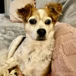 Cindy Lawrence Spann - @ladycinder10 - Instagram